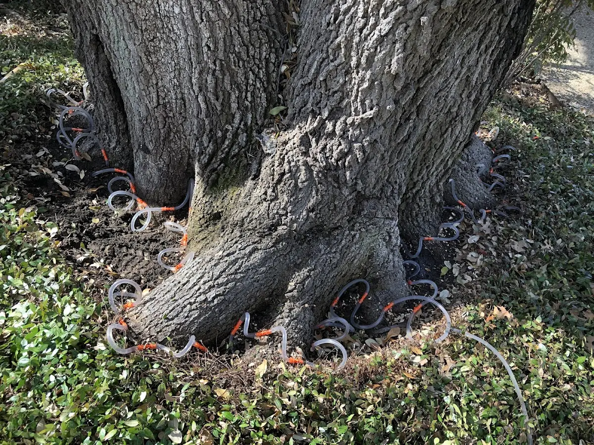 Detailed Shrub and Hedge Trimming job site in Luling