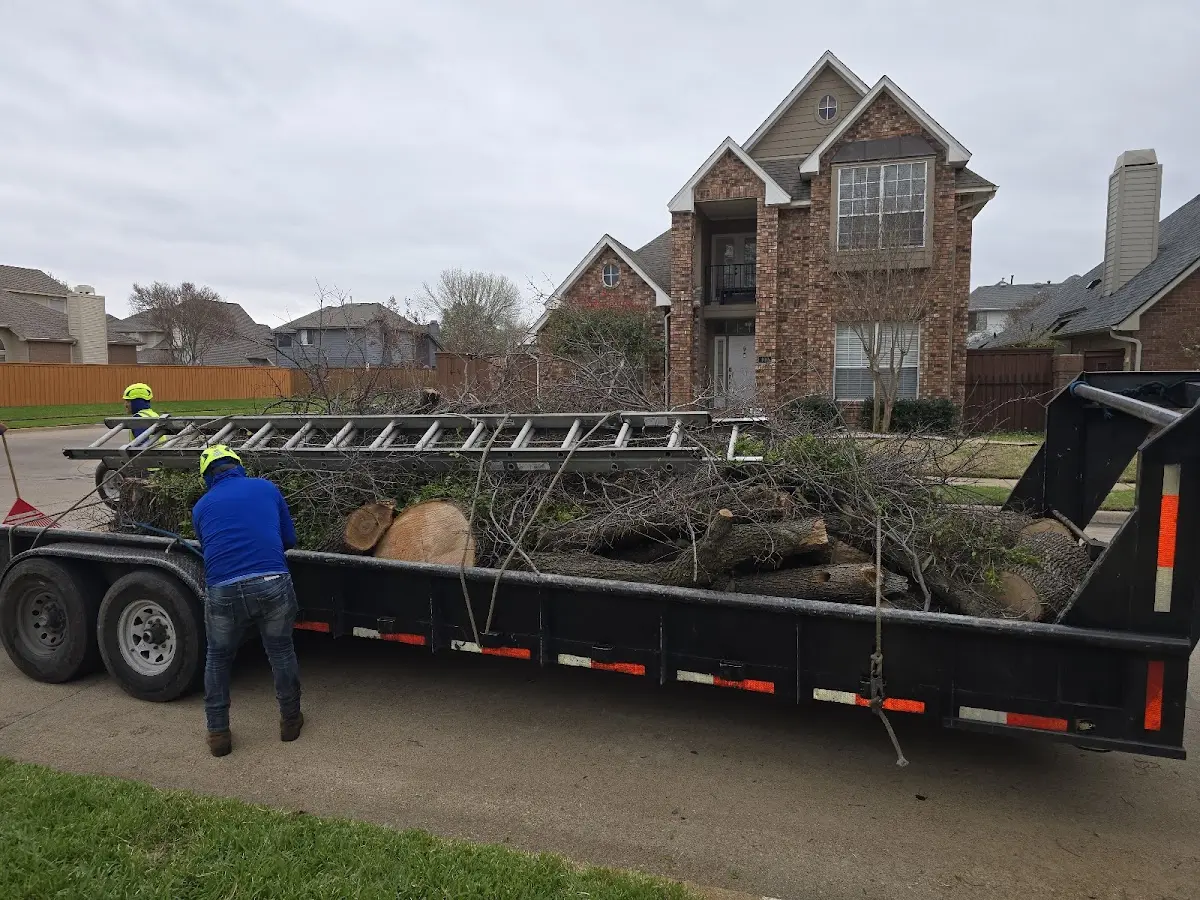 Expert Tree Pest Control with proper safety equipment in Luling